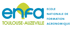 logo ENFA