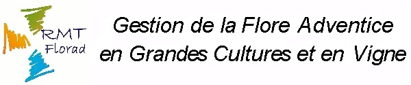 Logo RMT Florad